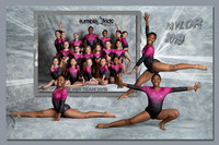 Taylor J Collage