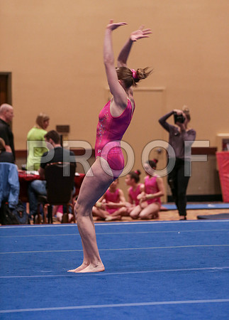 j3683951