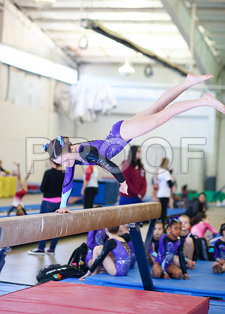 x60_0442