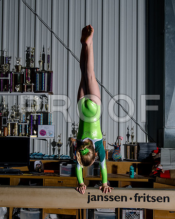 _DSC4603