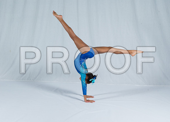 _81_4463