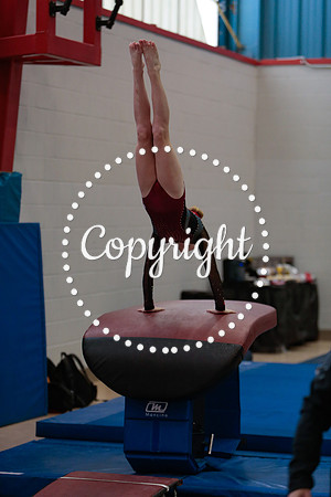 _81_0033 (2)