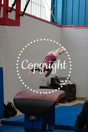 _81_0037 (2)
