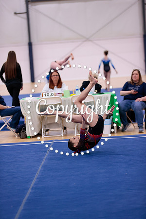_06I6009
