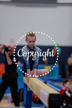 _60L0011 (2)