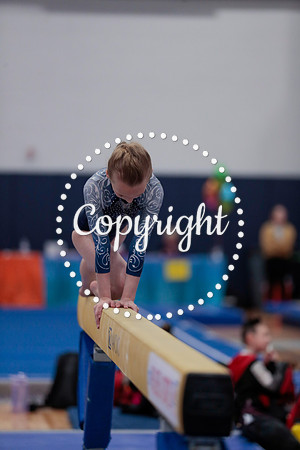 _60L0014 (2)