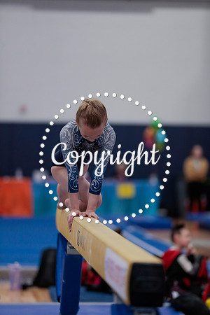 _60L0013 (2)