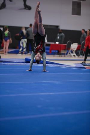 JMS_0986