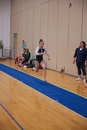 JMS_7393