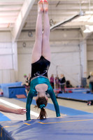 Addisyn L