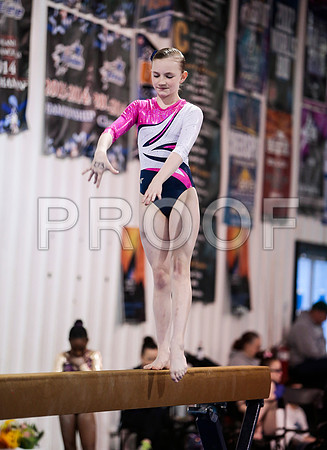 _81_7411