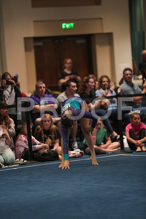 x61_6394