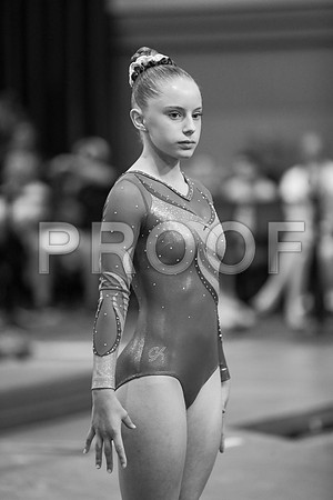 x61_0394-2