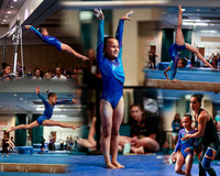 VCcollage2