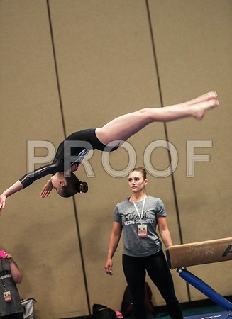 x61_6936