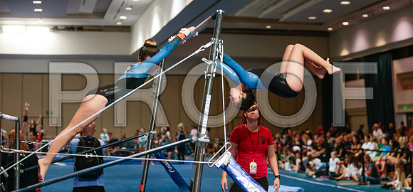 Specialty Panoramic Collage_60_1111 - Gymnastics photo