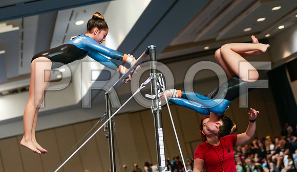 Specialty Panoramic Collage _60_0992 - Gymnastics Photo