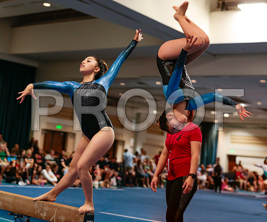 Specialty Merged Collage_jms7897 - Gymnastics Photo