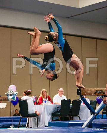 Specialty Merged Collage_81_8144 - Gymnastics Photo