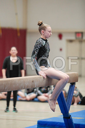 _61_7585