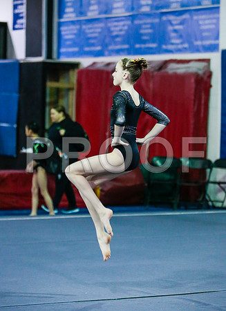 _60_4496