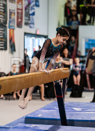_60_6519