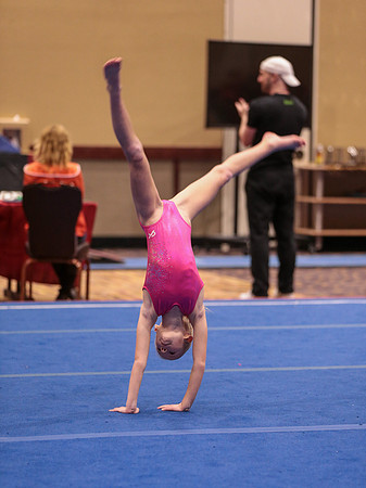 j3687991