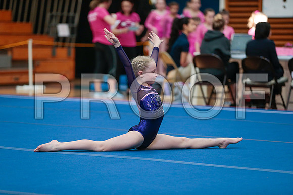 _60_3874