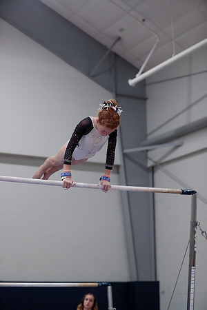 _60L0048 (2)