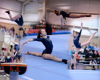 EVcollage