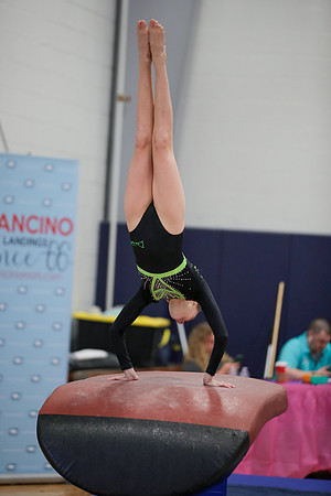 JMS_6541