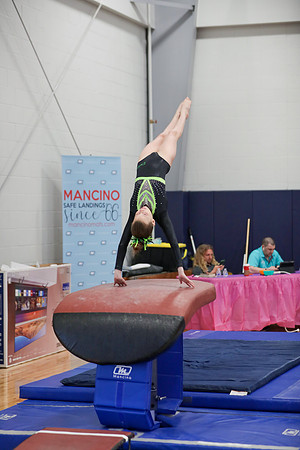 JMS_6533