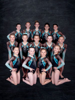 Level 6 Team