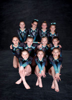 Level 4 Team