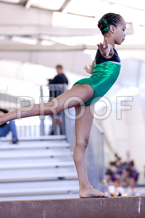 Stocks-L_46_6729