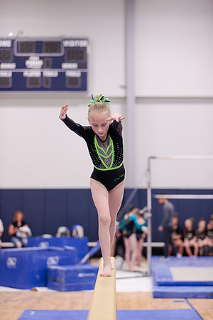 _S8I0086