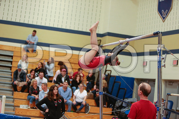 _76_6696