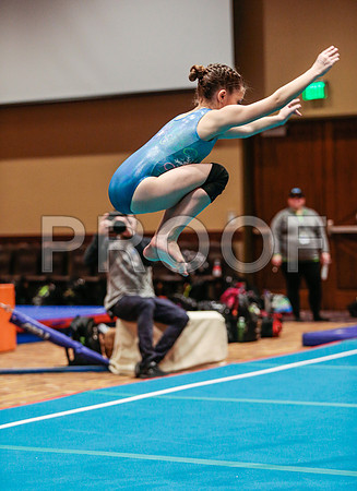 _60_6990