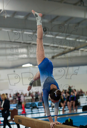 _61_3943