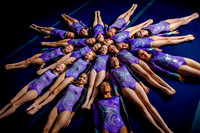 Level 4 Team Circle