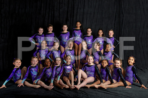 Level 2 Team