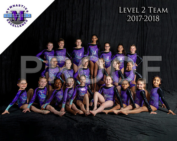 Level 2 Team - logo - 8x10