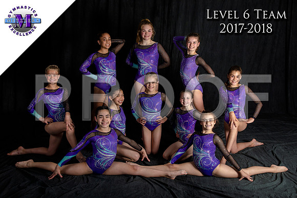 Level 6 Team - Metzlers Logo