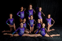 Level 6 Team