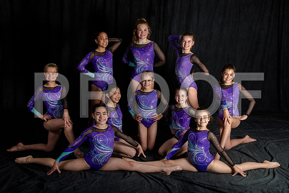 Level 6 Team