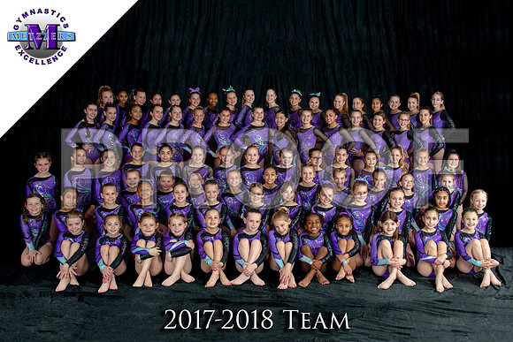 Whole Team Photo - logo