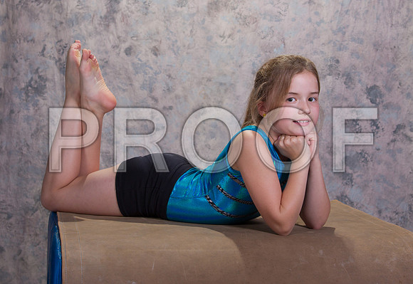 _13G7295