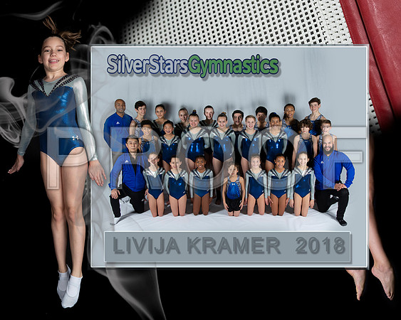 _61_2710-S Stars -  memory Mate    L Kramer