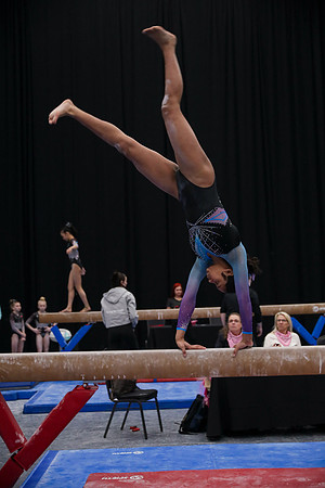 JMS_3459