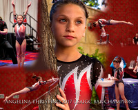 AngelinaTcollage
